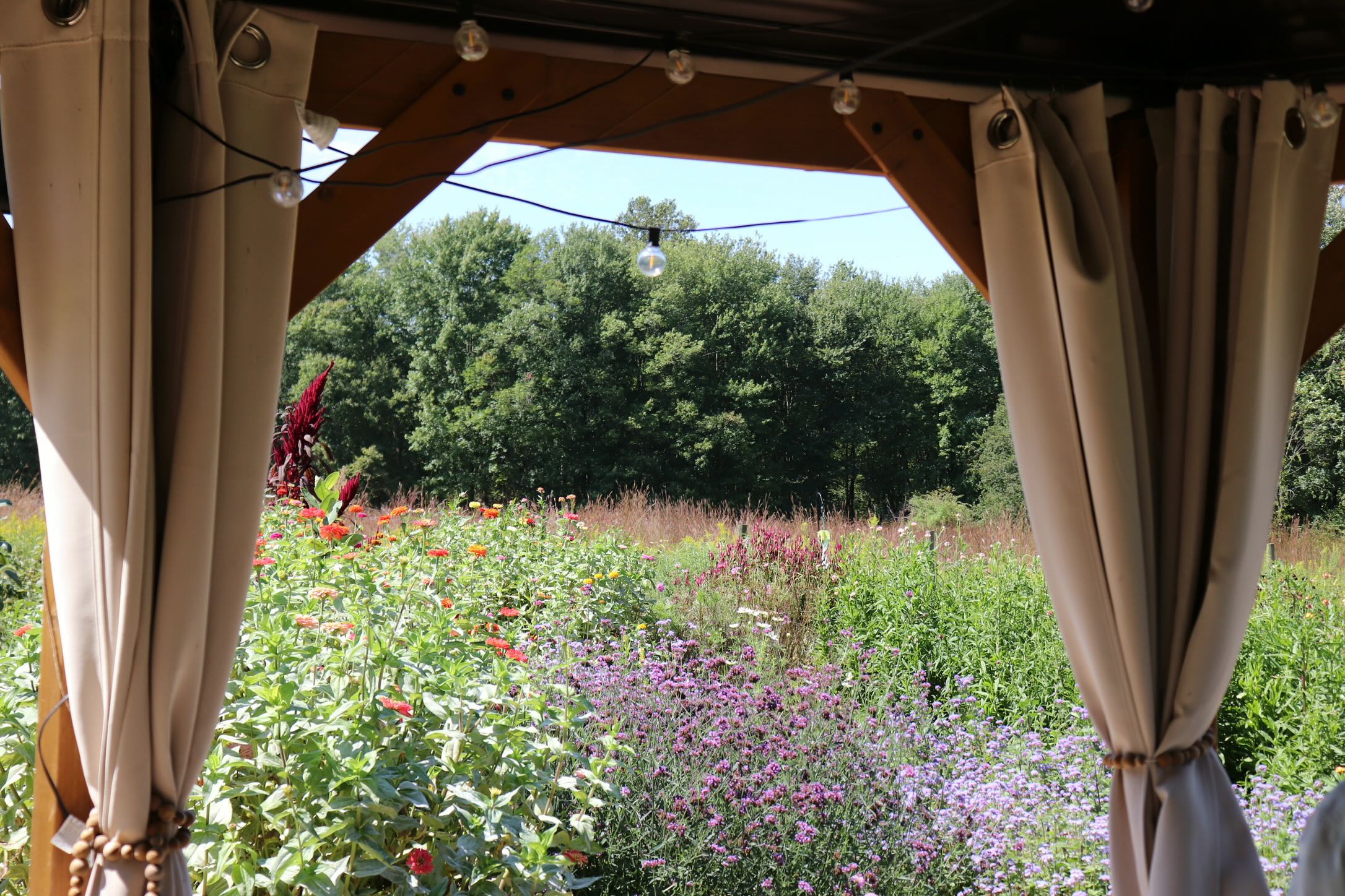 Garden gazebo surrounded by flowers at Nuthatch Gardens