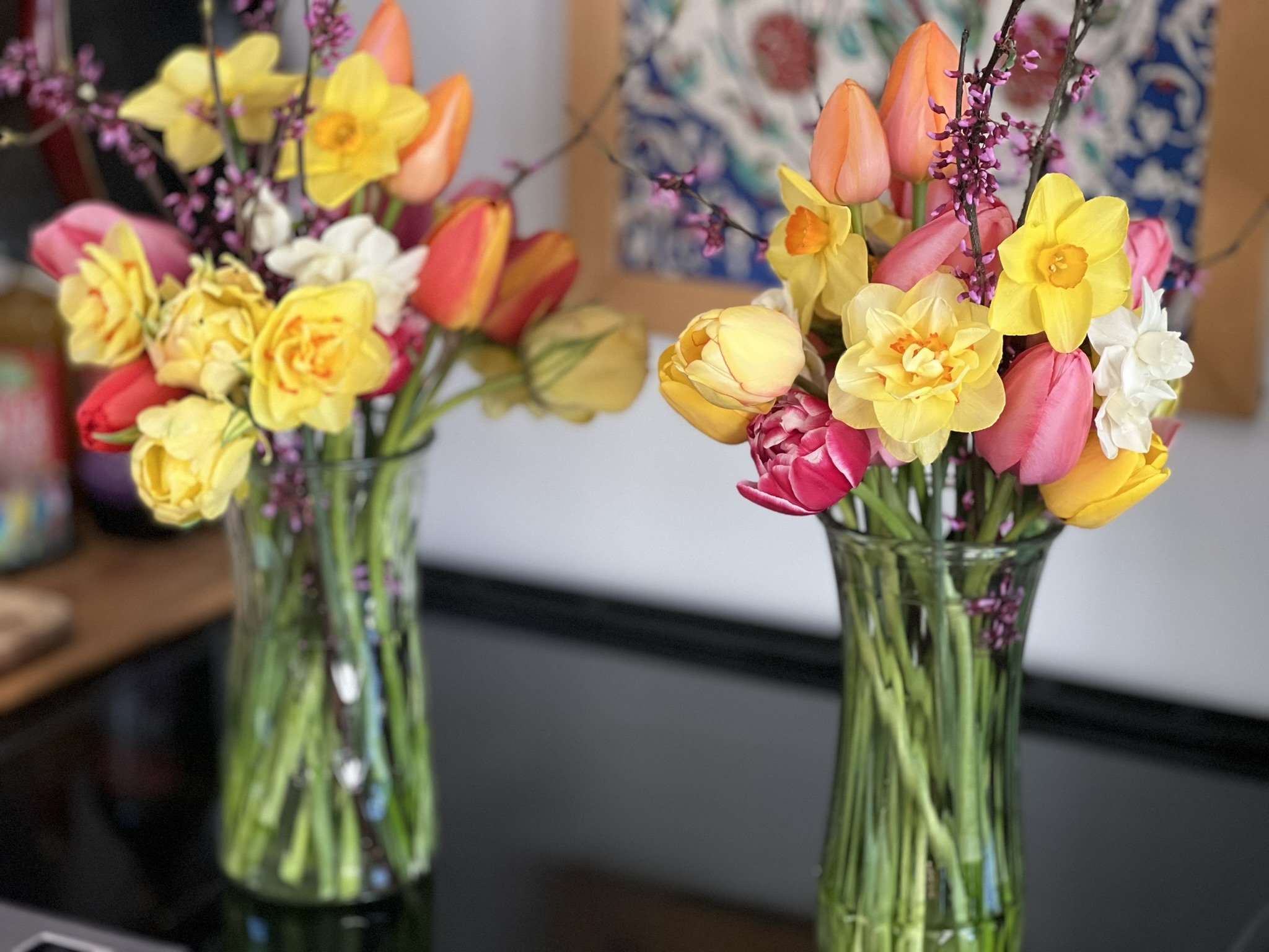 Spring daffodils and tulips