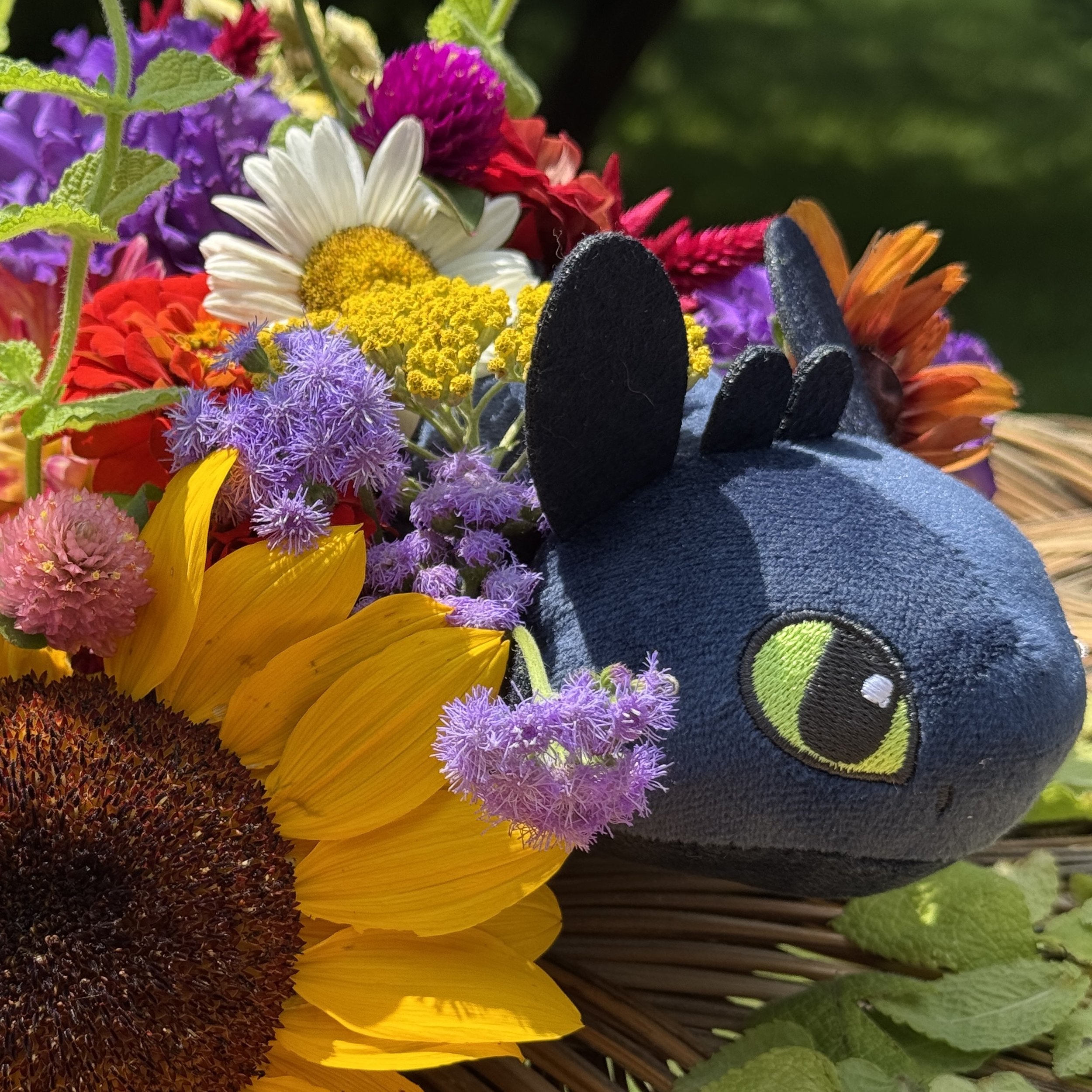 Train Your Dragon homeschool program